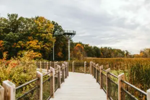 Galien River Overlook – Hidden Gems in Harbor Country hidden gems in Harbor Country Galien River Overlook boardwalk with marsh and river views near New Buffalo