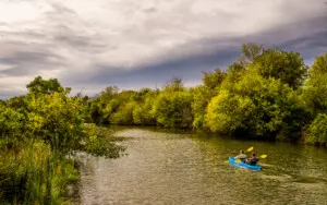 Kayakers on the Galien River Two kayakers paddling on a calm river lined with lush green trees under cloudy sky