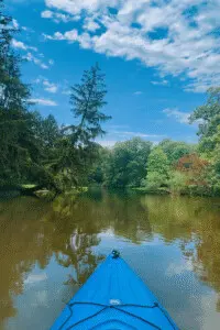 Kayaking in Southwest Michigan on a peaceful, tree-lined waterway, viewed from the seat of a kayak.