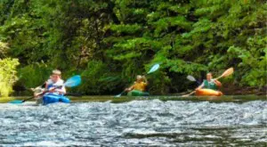 Kayaking the Pine River Rapids Two kayakers navigating mild rapids on a forested river