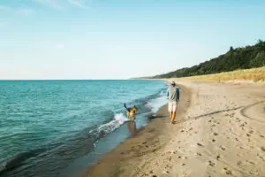 Serene Lake Michigan Shoreline Person walking with dog along sandy shoreline and calm lake water