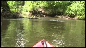 Kayak on the St. Joseph River View from a kayak of a tree-lined river bend, with paddler in foreground