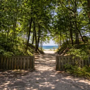 hidden gems in harbor country secluded beach access path through wooded dunes leading to lake michigan