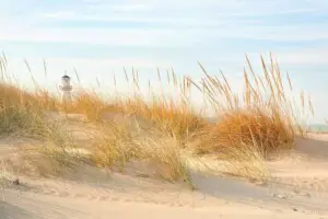 Dune grass and lighthouse near New Buffalo Michigan beach in spring