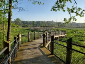 Galien River County Park Walkway Boardwalk trail at Galien River County Park in Southwest Michigan