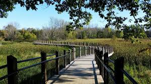 Galien River County Park | Things to Do in Southwest Michigan: Elevated canopy walkway and scenic boardwalk trail through wetlands and trees.