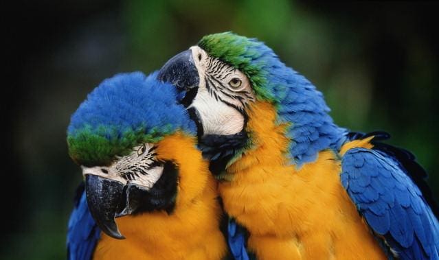 Washington Park Zoo | Things to Do in Southwest Michigan: Families exploring a lakeside zoo in Michigan City, Indiana with scenic animal exhibits.