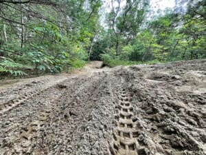 Muddy trail with deep tire ruts at Cedar Creek Motorsport Trail for off-roading in Southwest Michigan