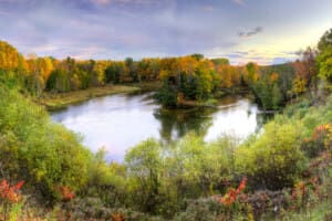 Side-by-side navigating wooded trail in Huron–Manistee National Forest during off-roading in Southwest Michigan