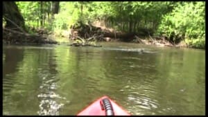 View from a kayak of a tree-lined river bend, with paddler in foreground