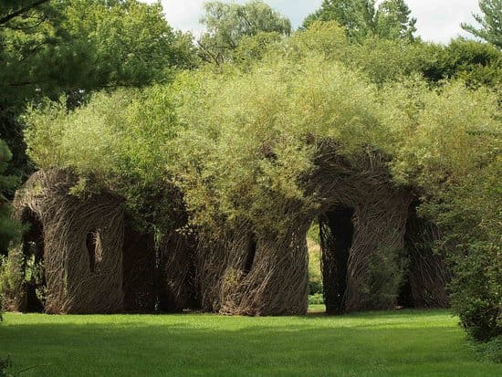 Twisted vine arches at Fernwood Botanical Garden surrounded by grass and trees, part of an interactive outdoor installation ideal for kids and families.