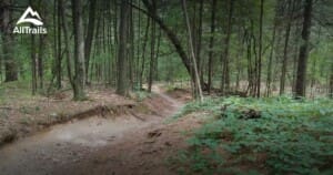 Forest trail in Huron–Manistee National Forest used for off-roading in Southwest Michigan