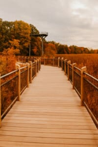 Galien River County Park boardwalk and overlook surrounded by autumn foliage and brown wetlands grass near New Buffalo, Michigan — a highlight of Fall Getaways near Chicago.