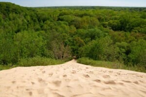 Warren Dunes Overlook Trail overlooking sand dunes and forest at Warren Dunes State Park